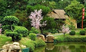 Як швидко перетворити ваш сад в неповторний райський куточок в англійському стилі